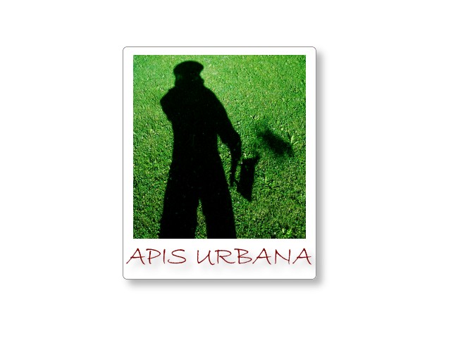 Apis Urbana