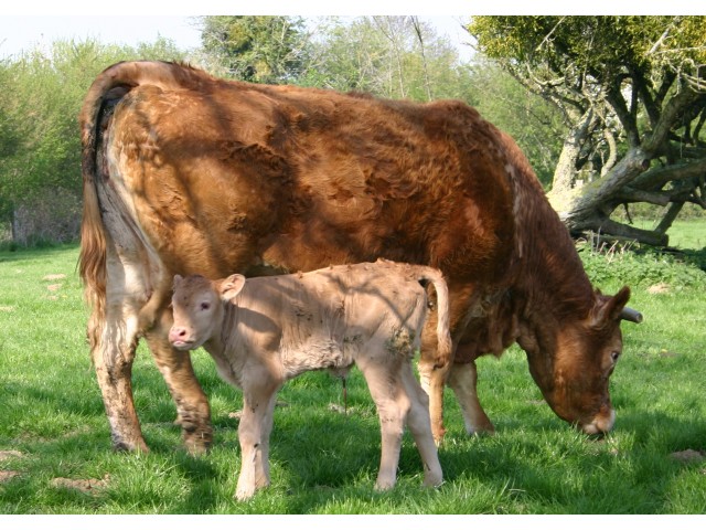 La Ferme DUVAL