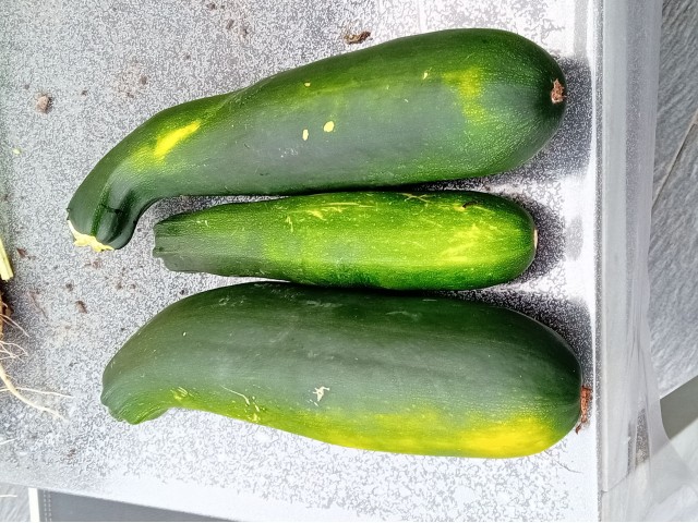 Courgettes