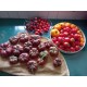 Tomates