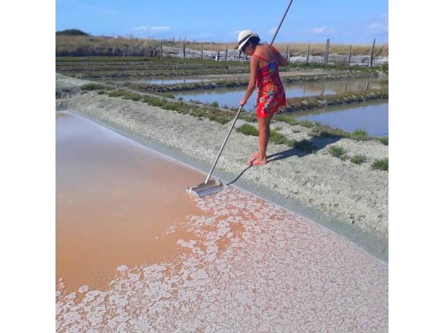 Salines du Breuil - fleur de sel 