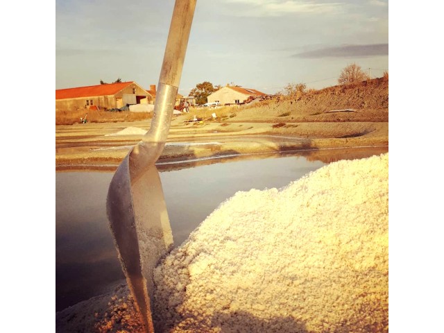 Salines du Breuil