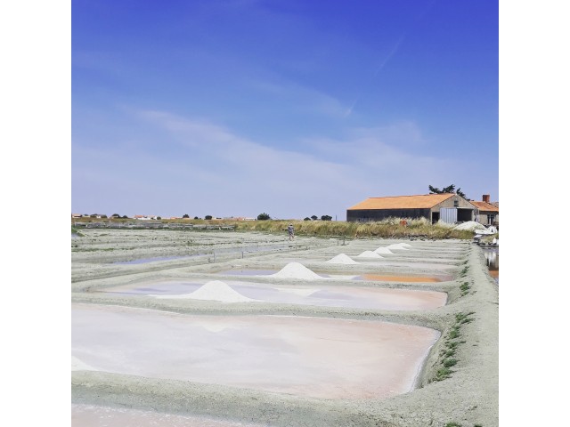 Salines du Breuil